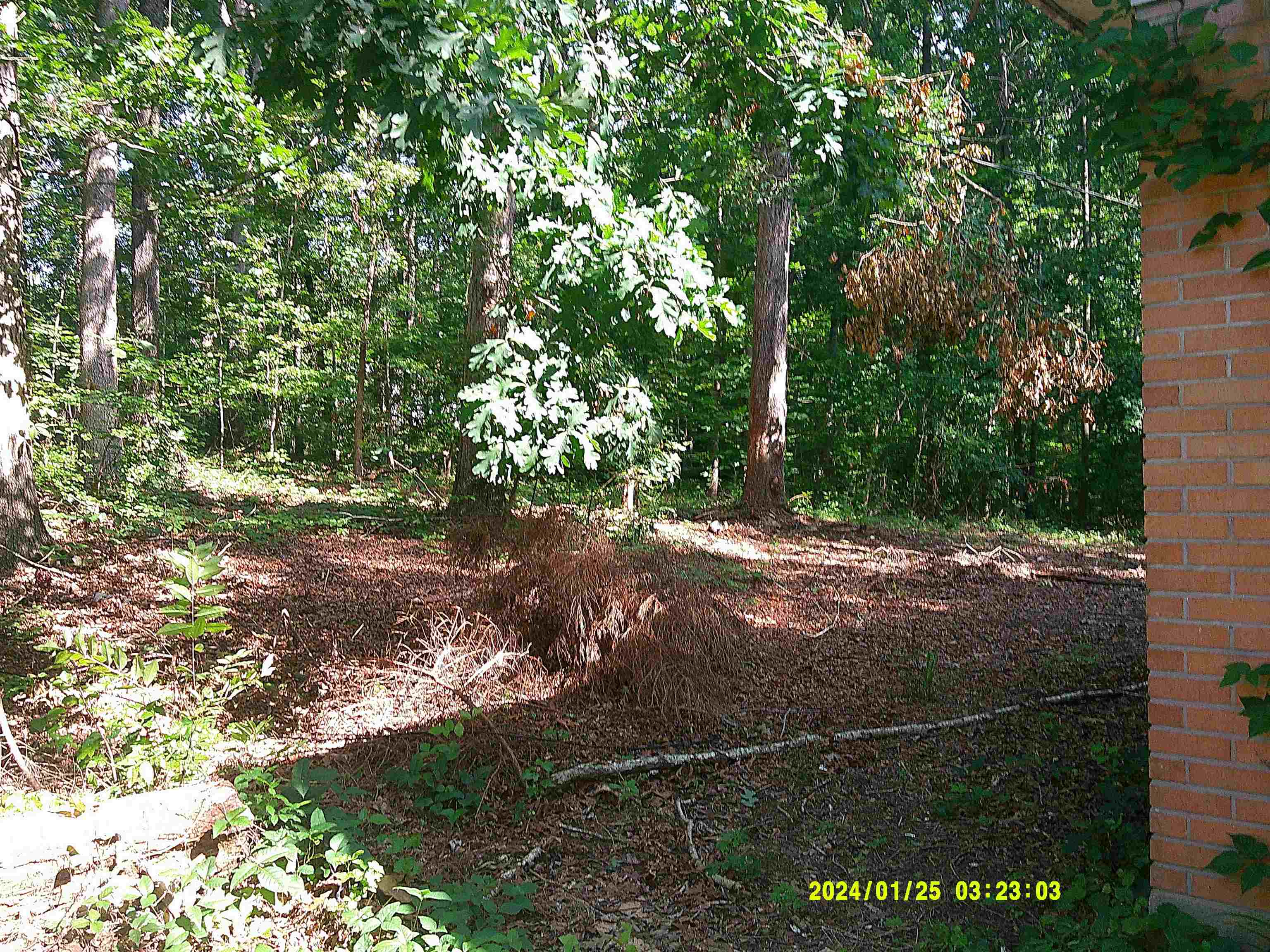 796 Neal Street Woodruff, SC 29388 - Photo 3 of 9 Gallery Image 3