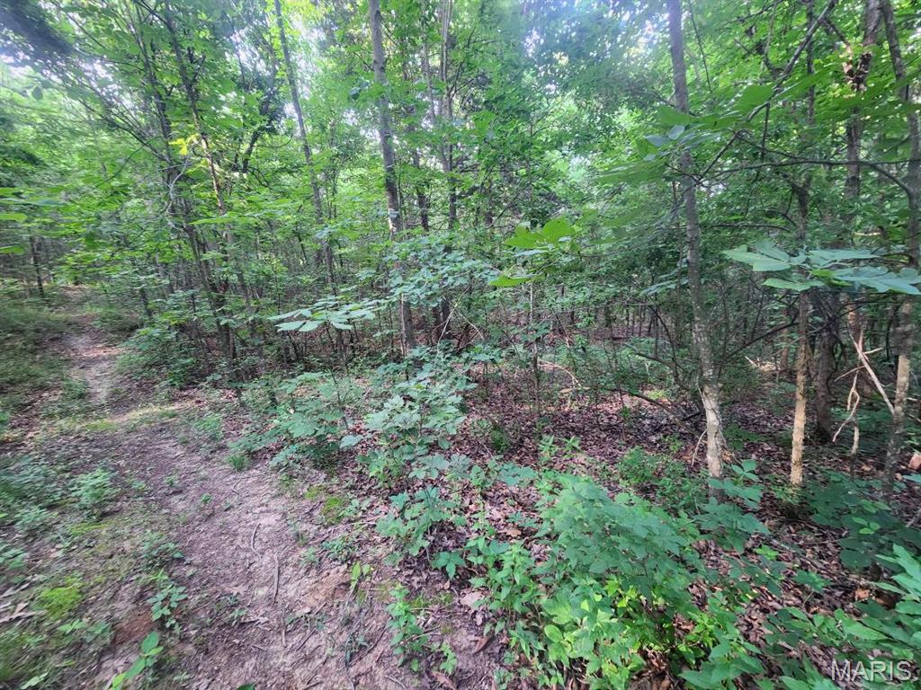 22206 Tree Farm Hermann, MO 65041 - Photo 9 of 9