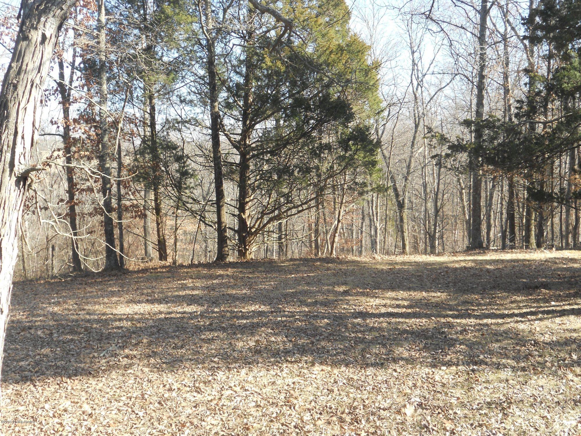 2655 Cedarmore Road Bagdad, KY 40003 - Photo 50 of 53 View of Acreage