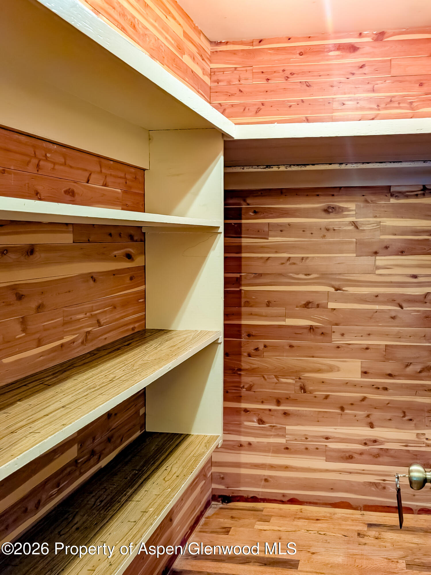 410 Fairway Avenue Rifle, CO 81650 - Photo 26 of 37 a close view of closet
