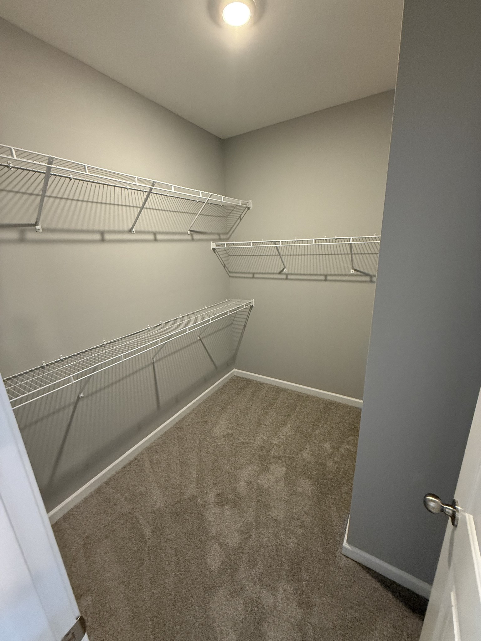 525 Windflower Pass Antioch, TN 37013 - Photo 15 of 22 a view of a room with racks on the wall