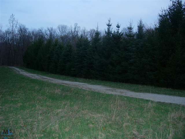 2400 Beck Howell, MI 48843 - Photo 3 of 4 31104198-2.JPG