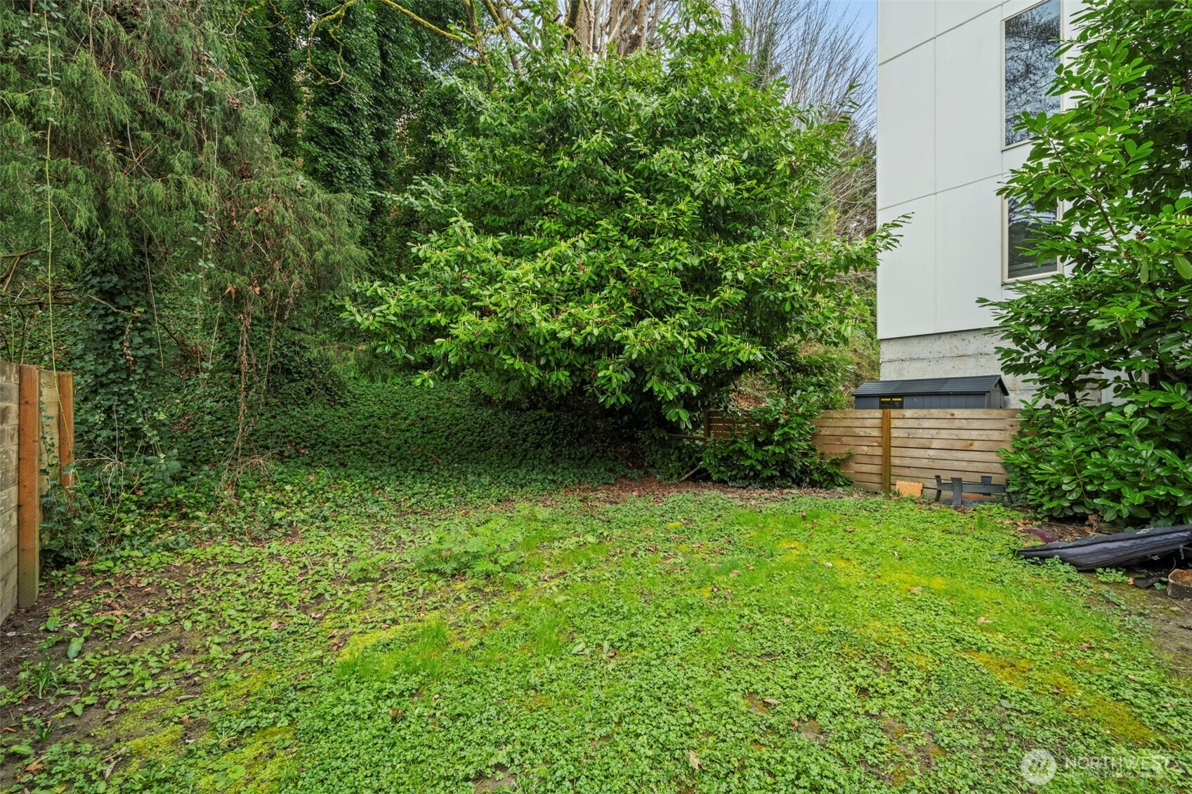 1768 Alki Avenue Southwest Seattle, WA 98116 - Photo 32 of 40 a view of a backyard with potted plants and large trees