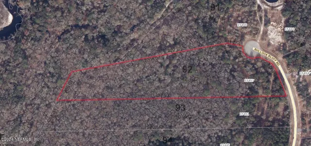 a view of a dry yard with large trees