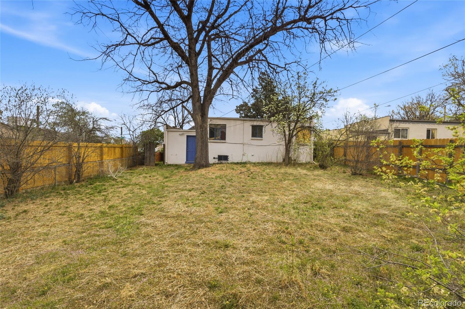791 Quebec Street Denver, CO 80220 - Photo 17 of 17 a view of a yard with large tree