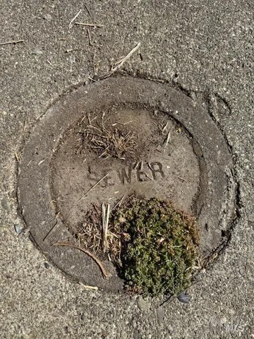 a view of a house with a street view