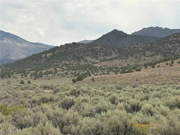 $69,000 | Mattier Creek, Ely, NV 89301