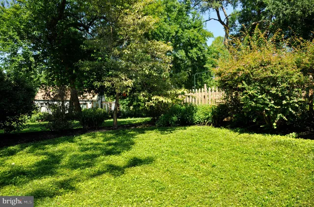 a view of yard with green space