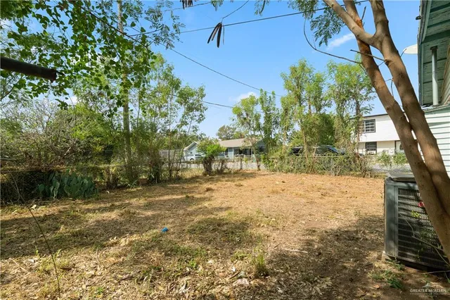 a view of a yard with plants and trees