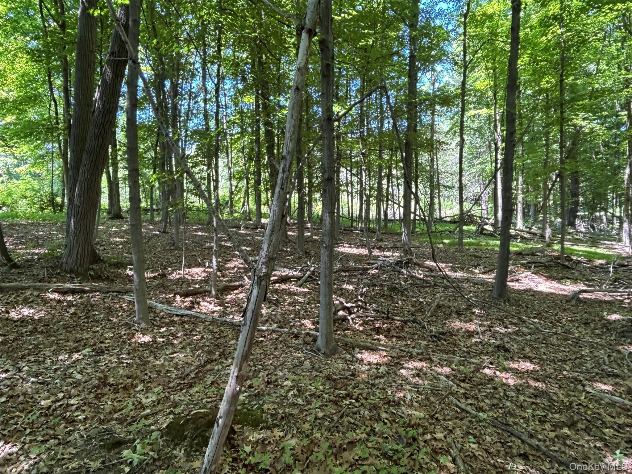 0 Smith Road Poughkeepsie, NY 12603 - Photo 6 of 8