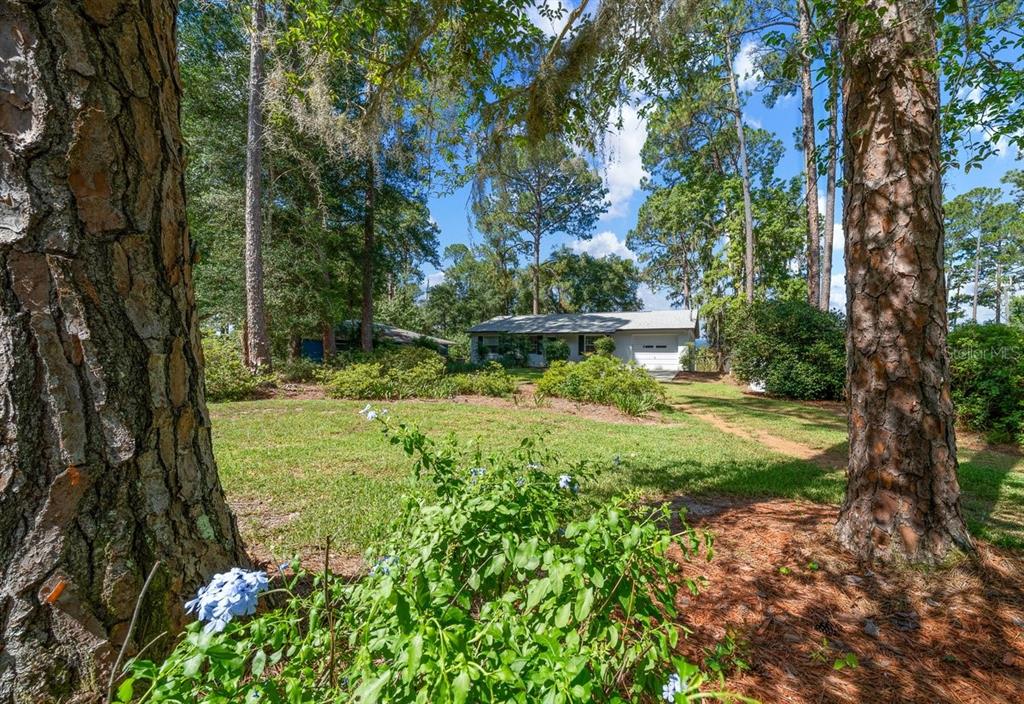 26550 Fishermans Road Paisley, FL 32767 - Photo 5 of 35