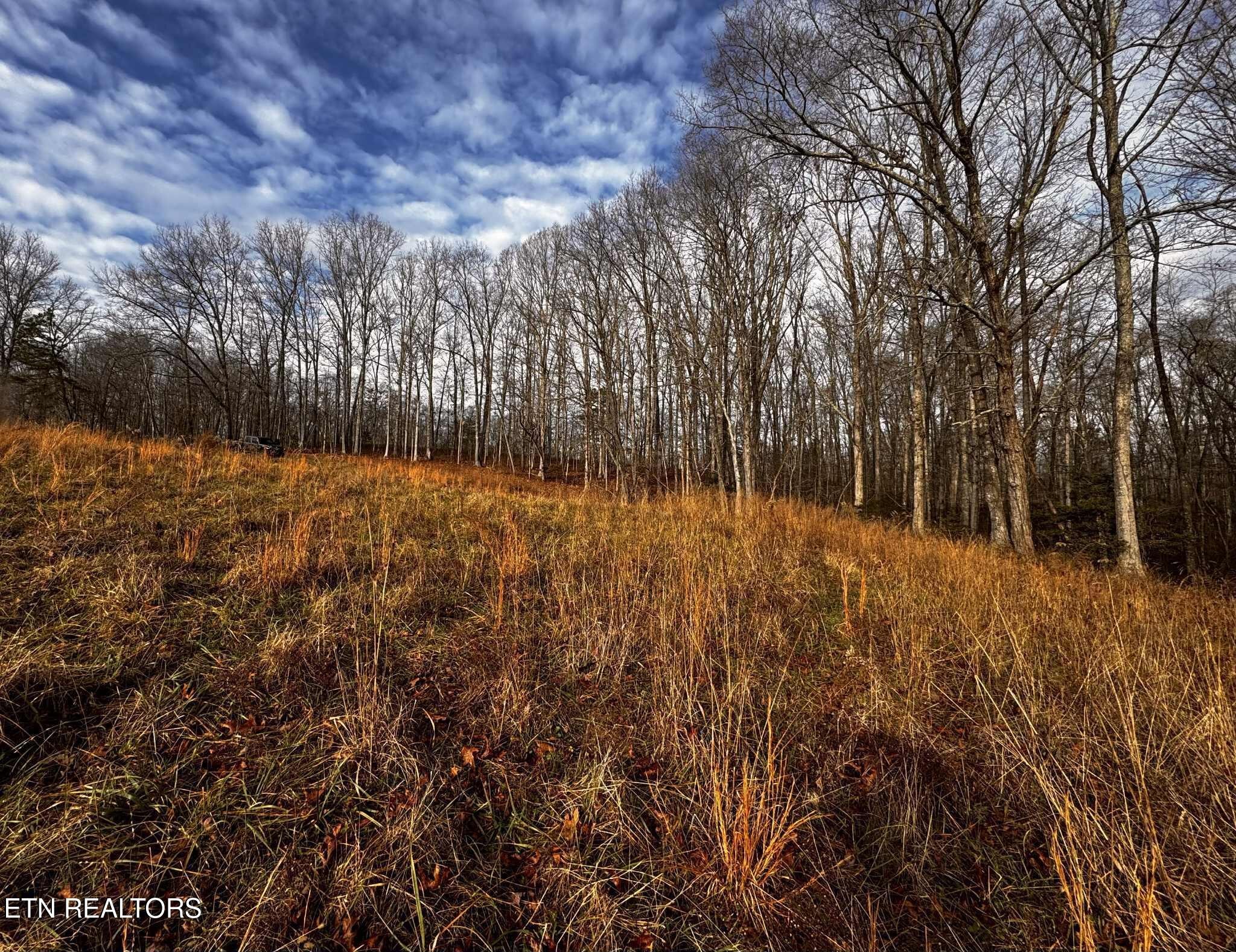 0 Smith Mountain Road Rockwood, TN 37854 - Photo 14 of 19 a backyard of a house with lots of green space