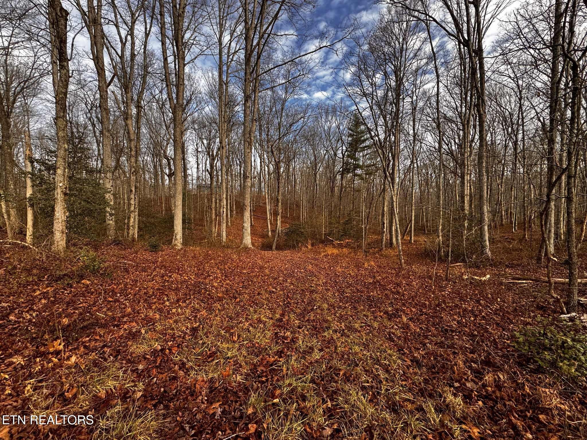 0 Smith Mountain Road Rockwood, TN 37854 - Photo 15 of 19 a view of outdoor space with deck and tree