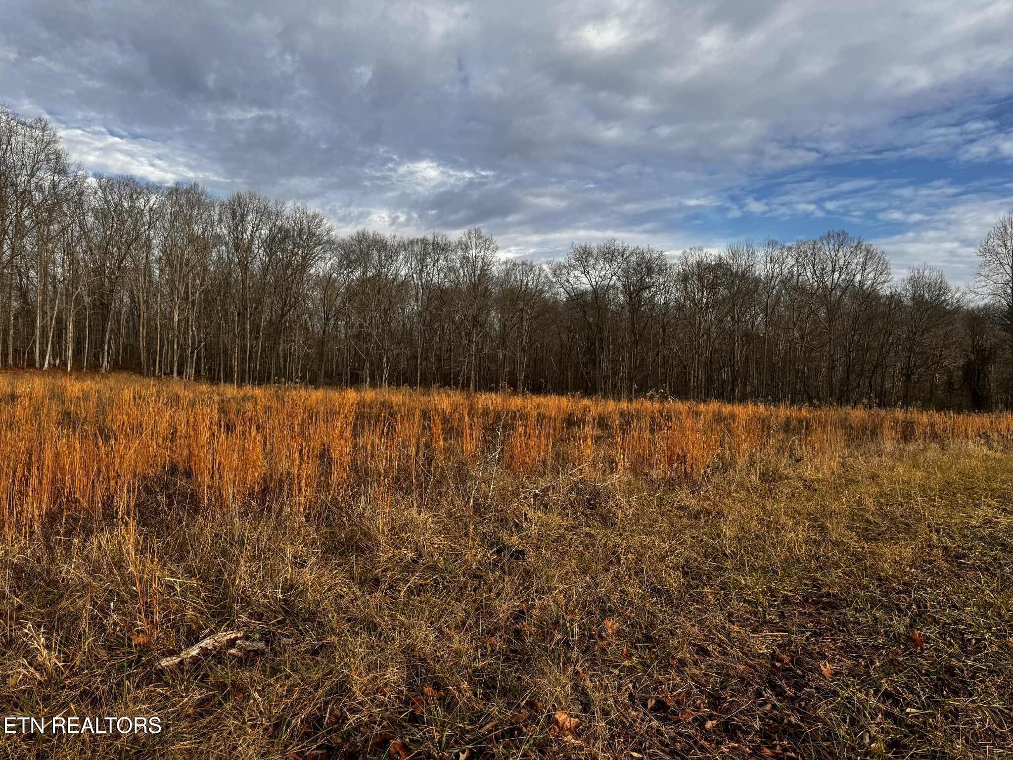 0 Smith Mountain Road Rockwood, TN 37854 - Photo 19 of 19