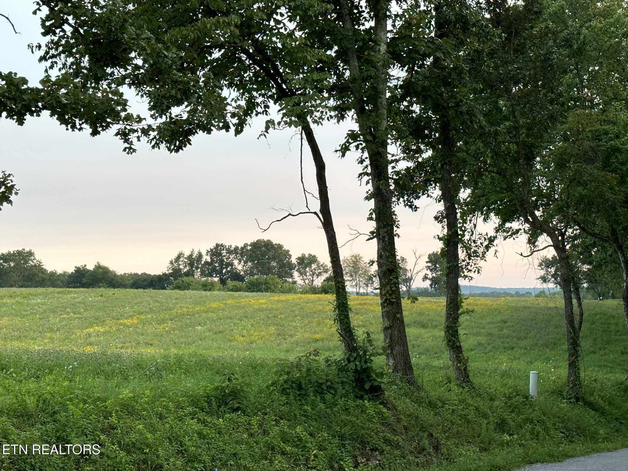 0 Smith Mountain Road Rockwood, TN 37854 - Photo 2 of 19 a view of outdoor space and yard
