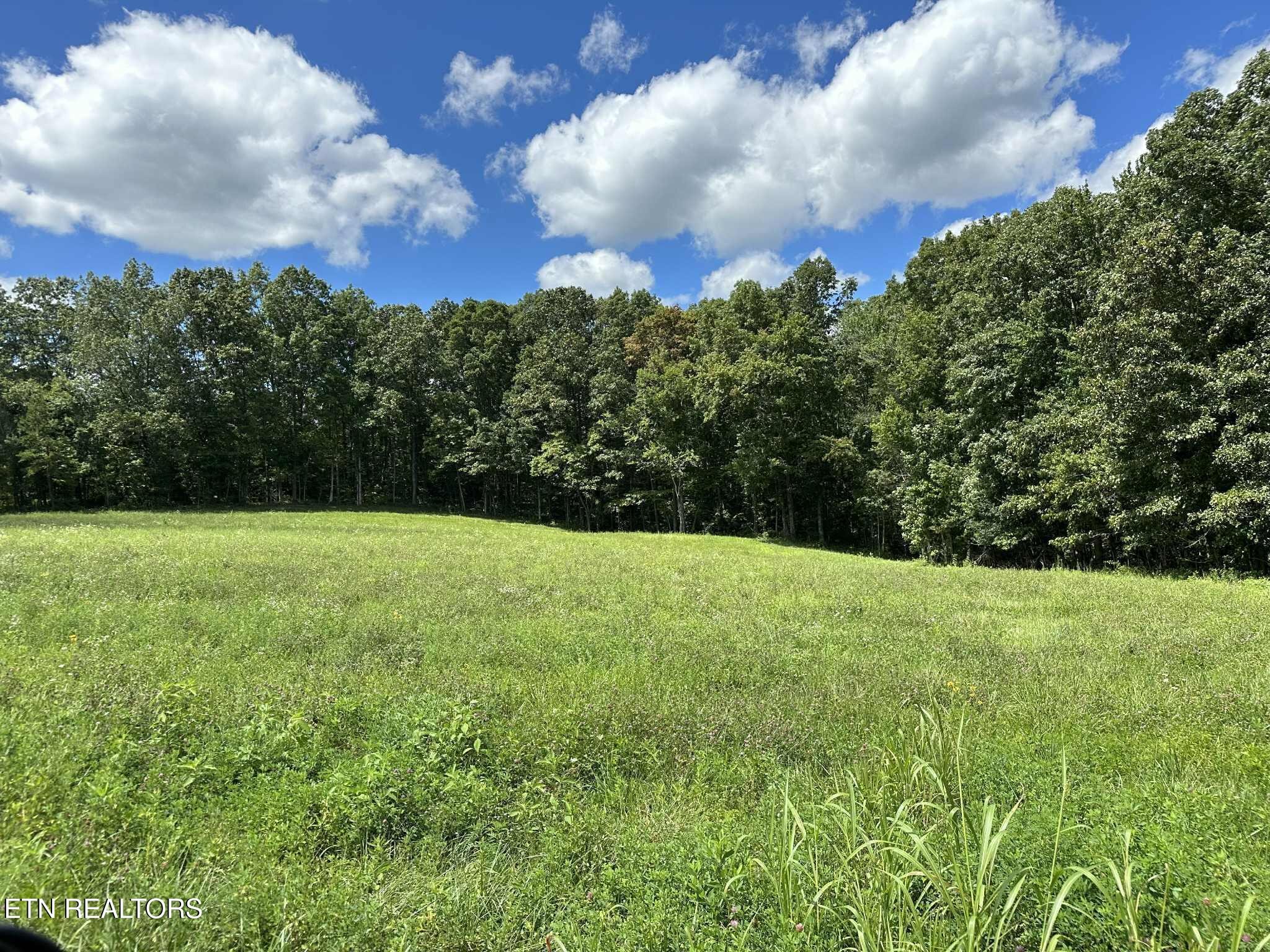 0 Smith Mountain Road Rockwood, TN 37854 - Photo 3 of 19 a view of a big yard with potted plants and sky view