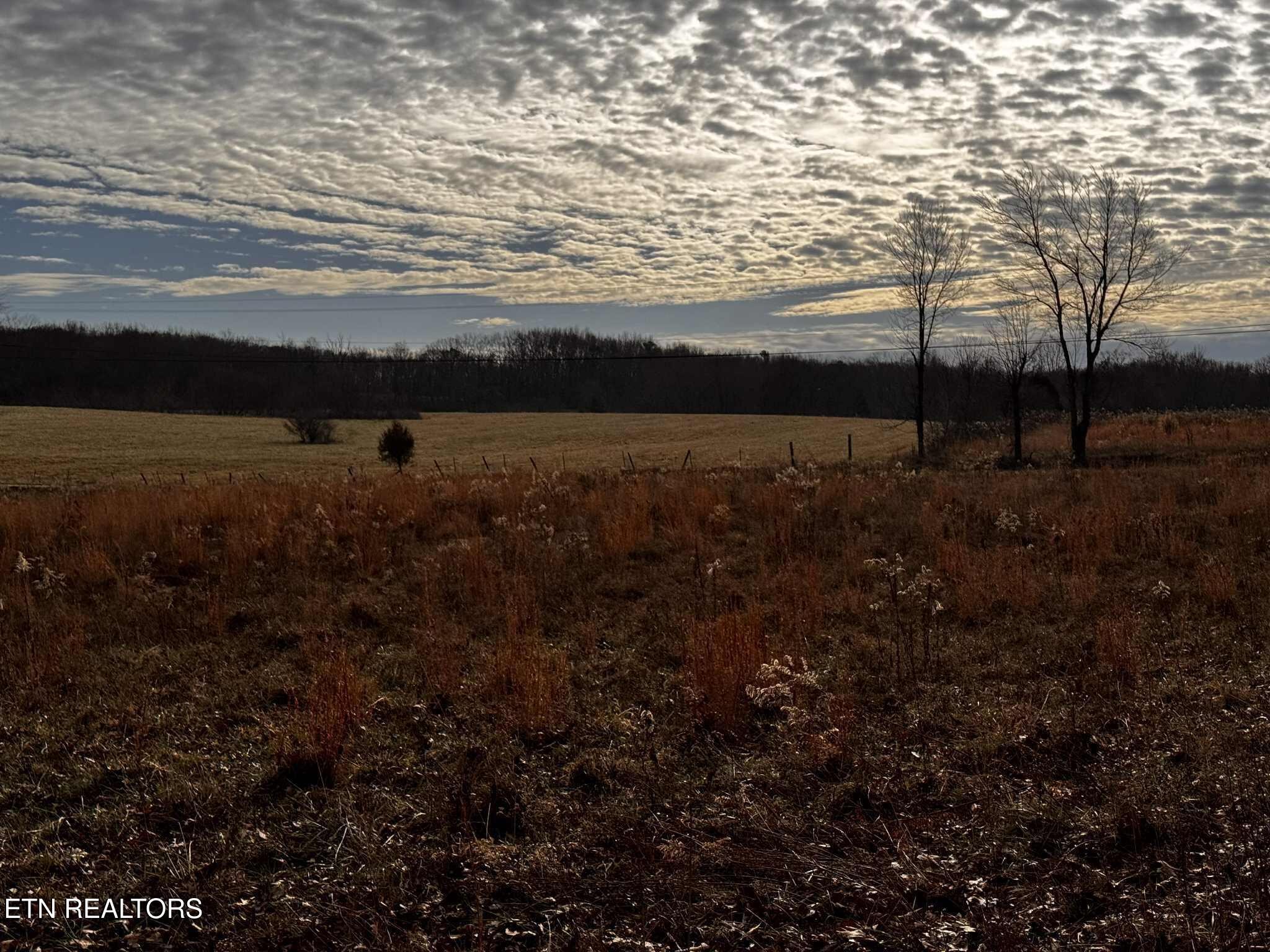 0 Smith Mountain Road Rockwood, TN 37854 - Photo 4 of 19 a view of an ocean beach