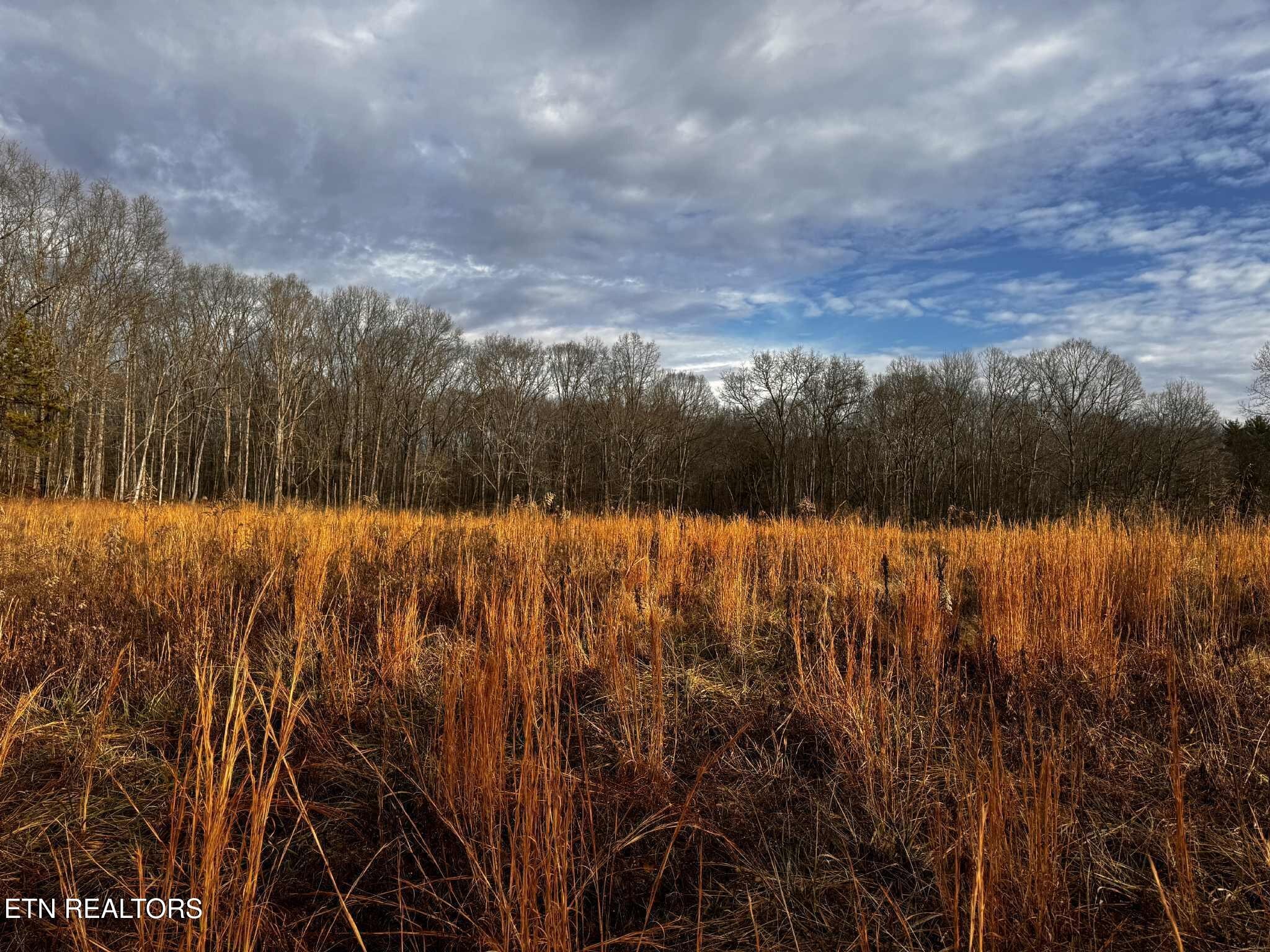 0 Smith Mountain Road Rockwood, TN 37854 - Photo 5 of 19 a view of lake
