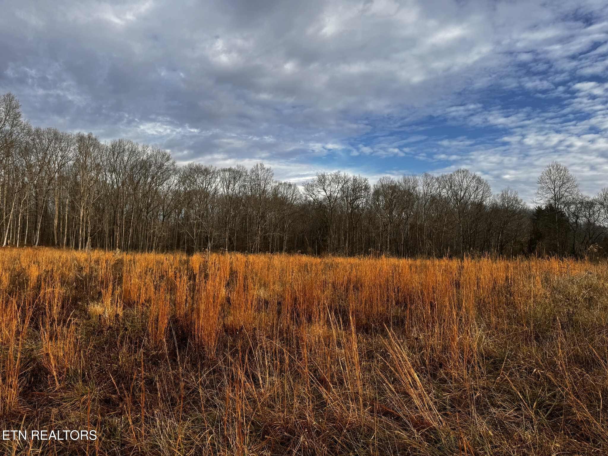 0 Smith Mountain Road Rockwood, TN 37854 - Photo 6 of 19 a view of swimming pool with mountain in background