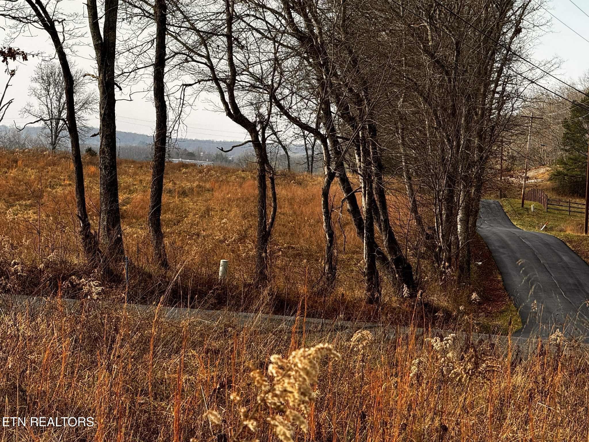 0 Smith Mountain Road Rockwood, TN 37854 - Photo 7 of 19 a view of lake