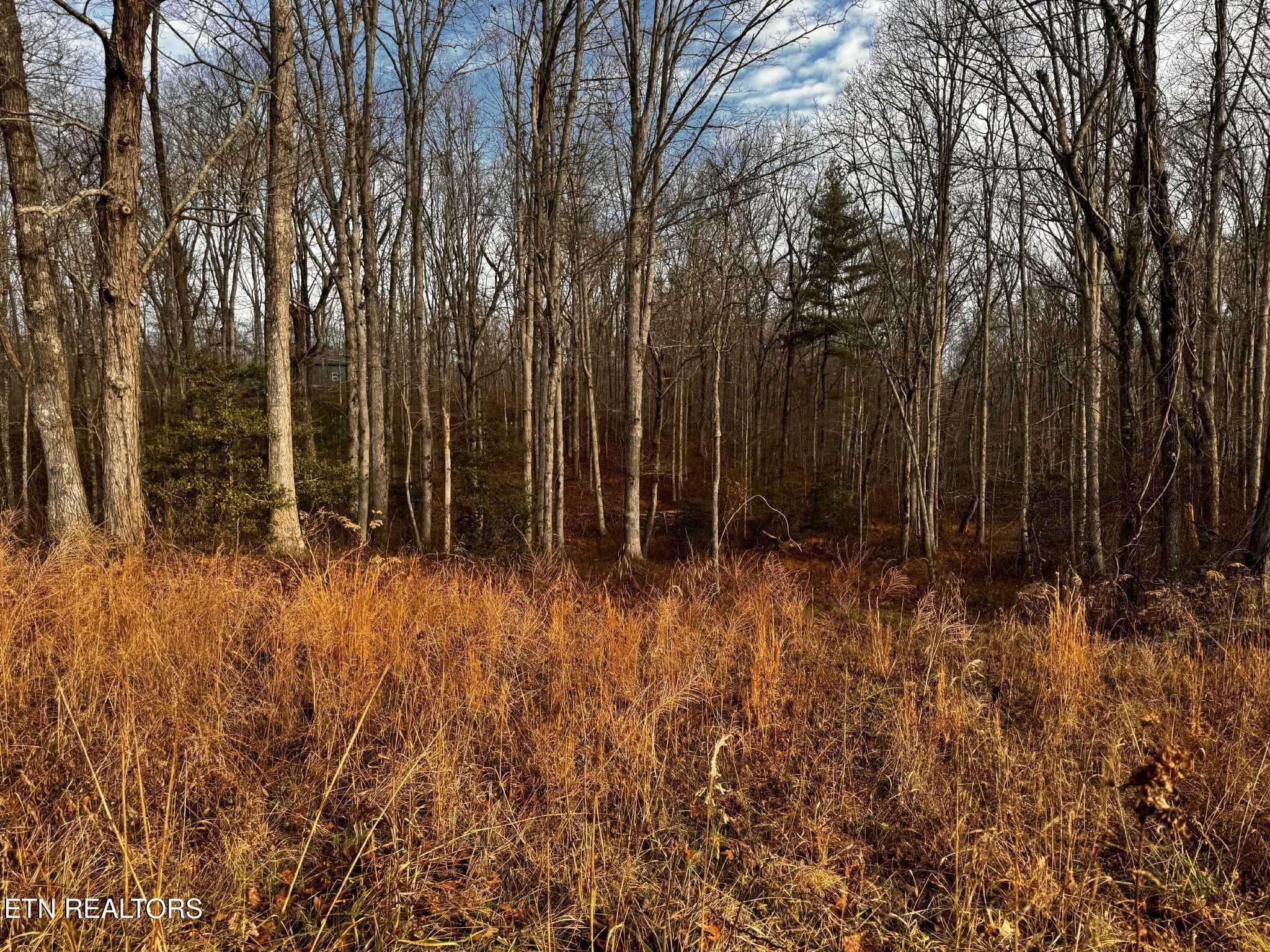 0 Smith Mountain Road Rockwood, TN 37854 - Photo 10 of 19 a view of backyard with green space