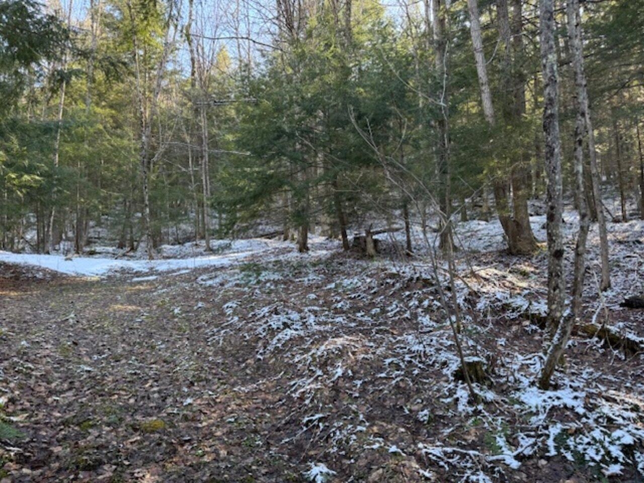 0 Cedar Street Barre, VT 05641 - Photo 2 of 7