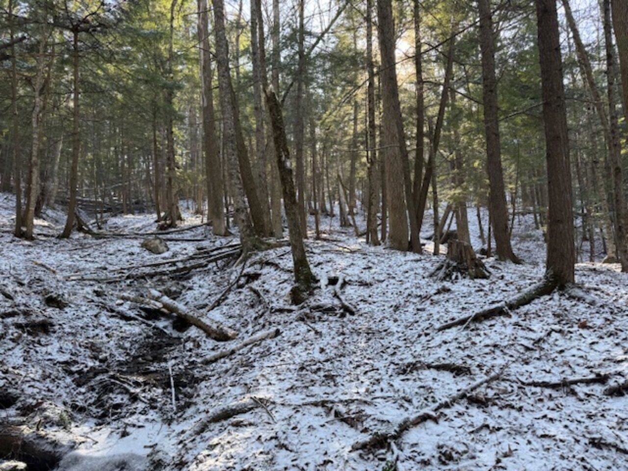 0 Cedar Street Barre, VT 05641 - Photo 3 of 7