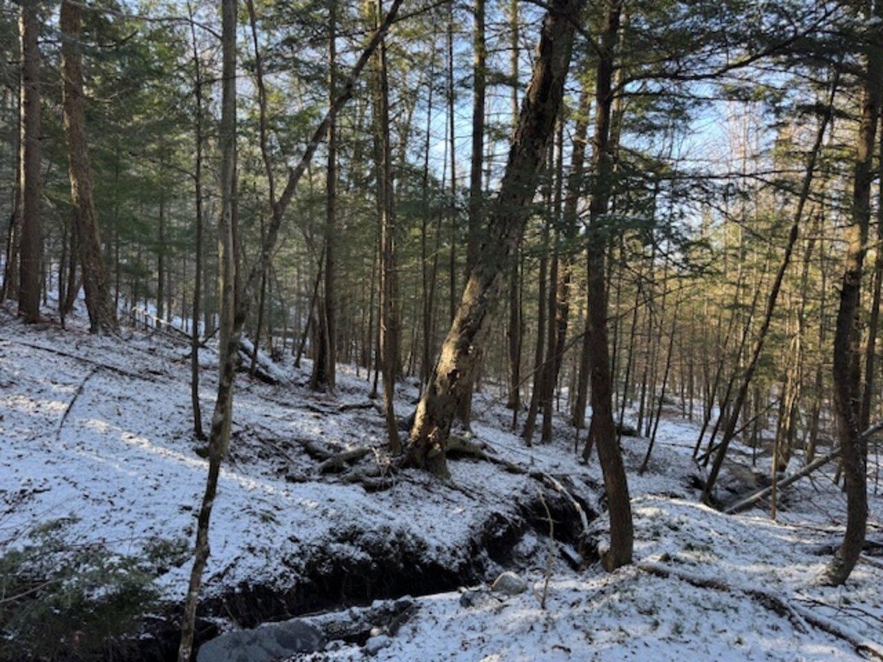 0 Cedar Street Barre, VT 05641 - Photo 4 of 7