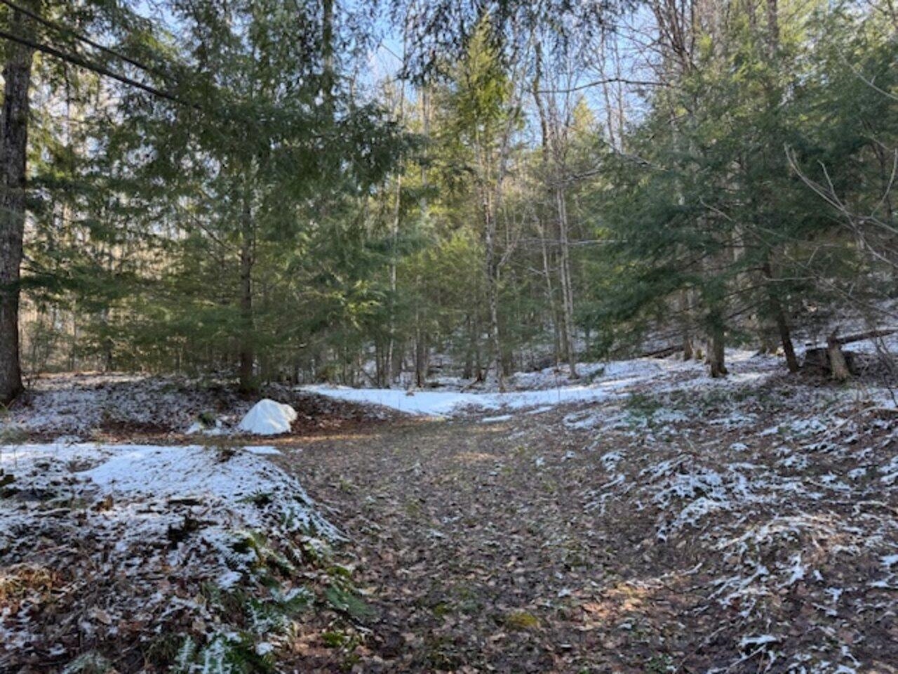 0 Cedar Street Barre, VT 05641 - Photo 6 of 7