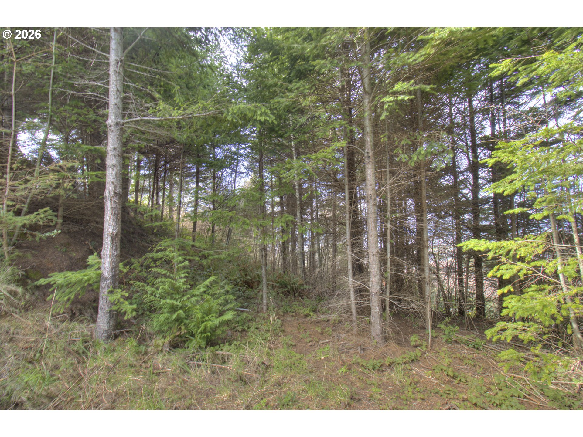 Seaview Lane Gold Beach, OR 97444 - Photo 3 of 8 a view of outdoor space and garden
