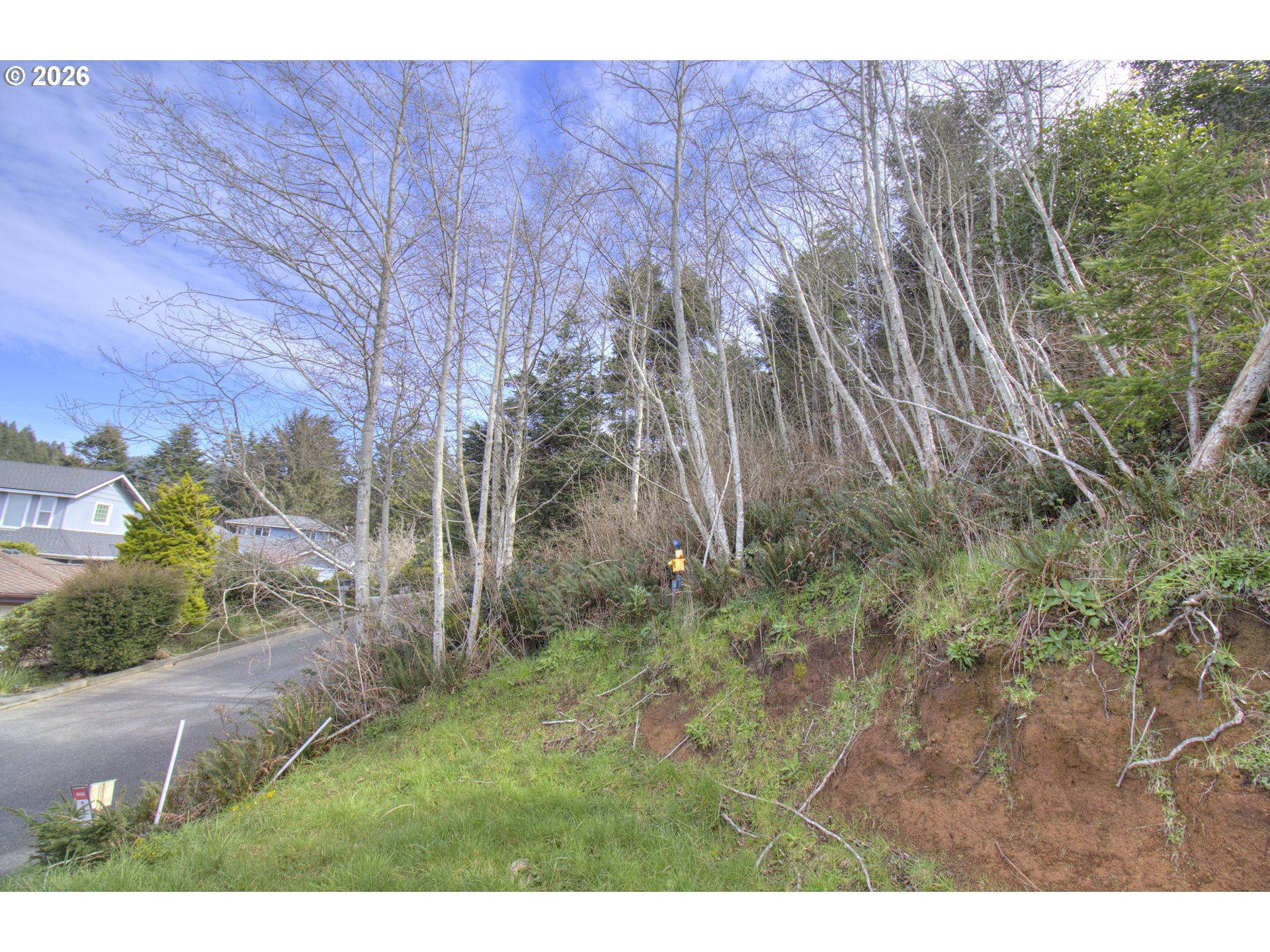 Seaview Lane Gold Beach, OR 97444 - Photo 6 of 8 a view of backyard with green space