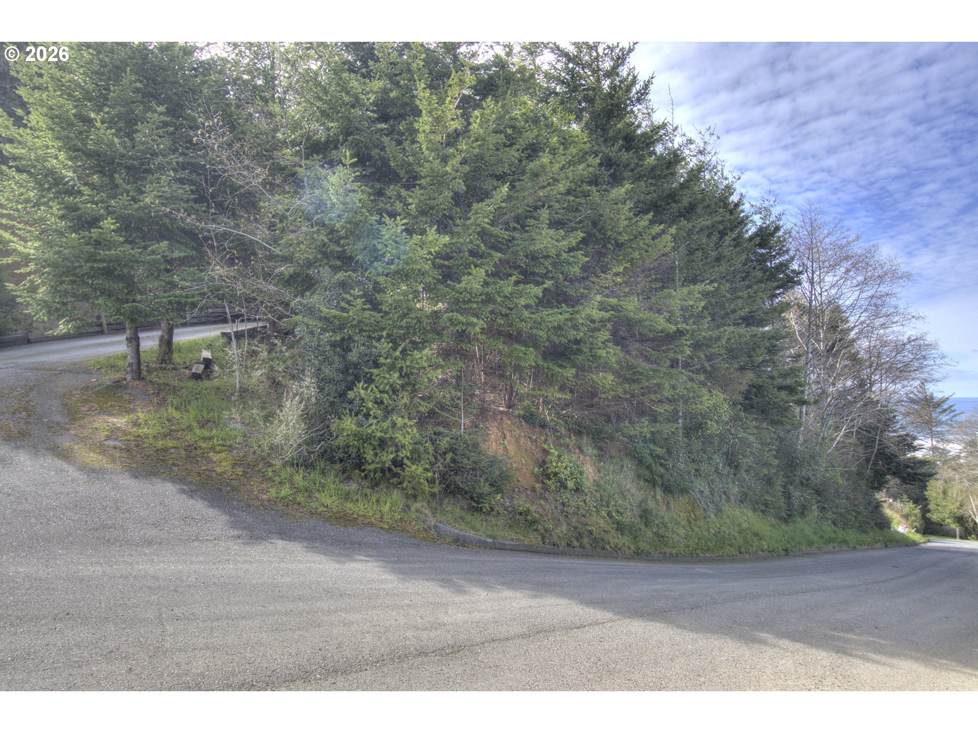 Seaview Lane Gold Beach, OR 97444 - Photo 8 of 8 a view of a dry yard with trees