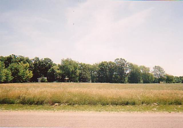 8378 Locust Road Delavan, IL 61734 - Photo 3 of 4