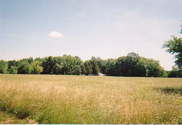 8378 Locust Road Delavan, IL 61734 - Photo 4 of 4