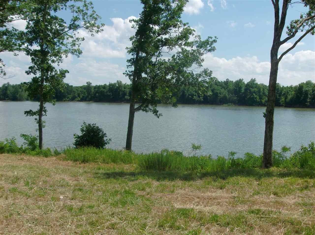 74 Mariah Loop Decaturville, TN 38329 - Photo 3 of 12 Gallery Image 3