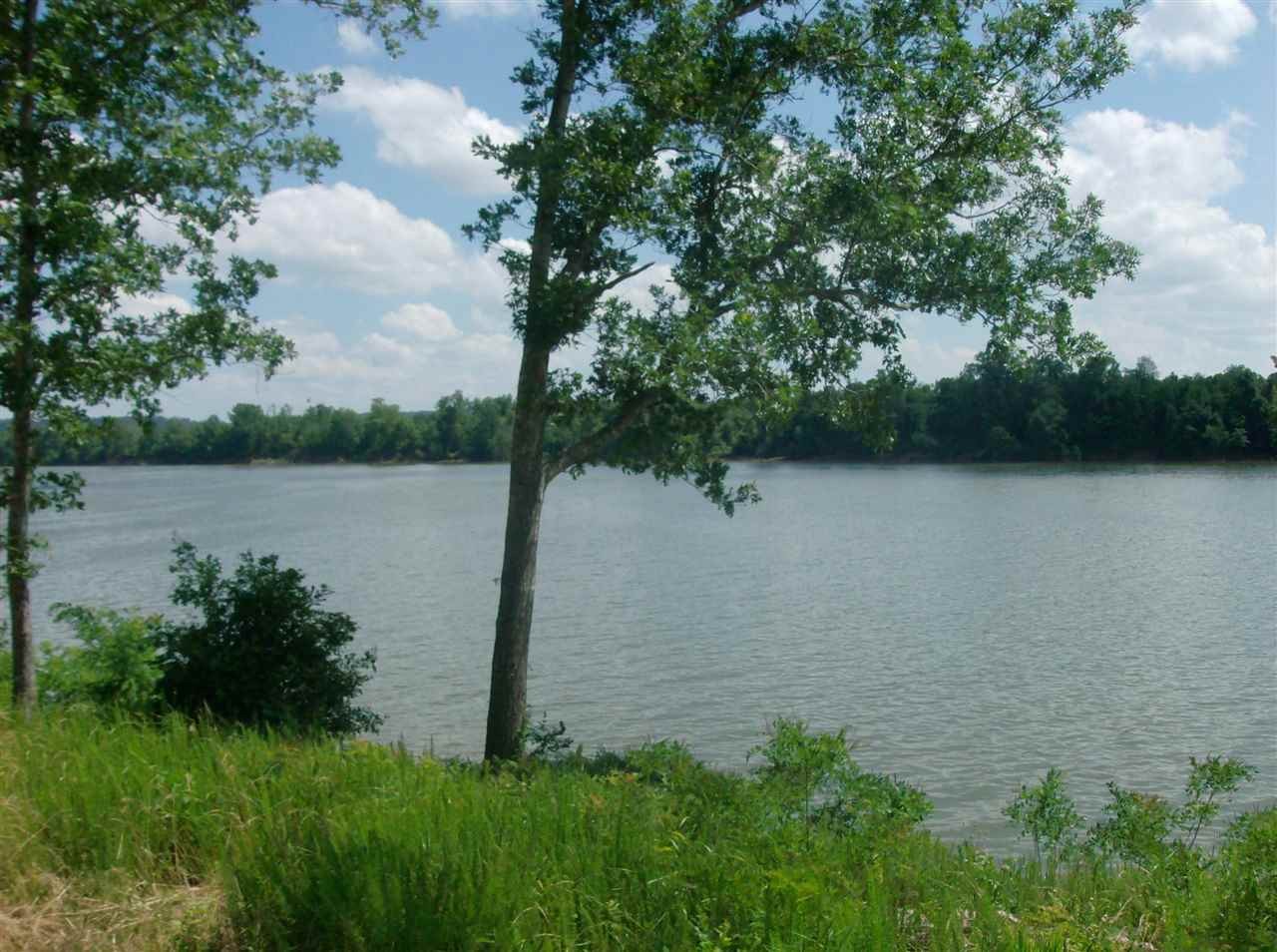 74 Mariah Loop Decaturville, TN 38329 - Photo 4 of 12 Gallery Image 4
