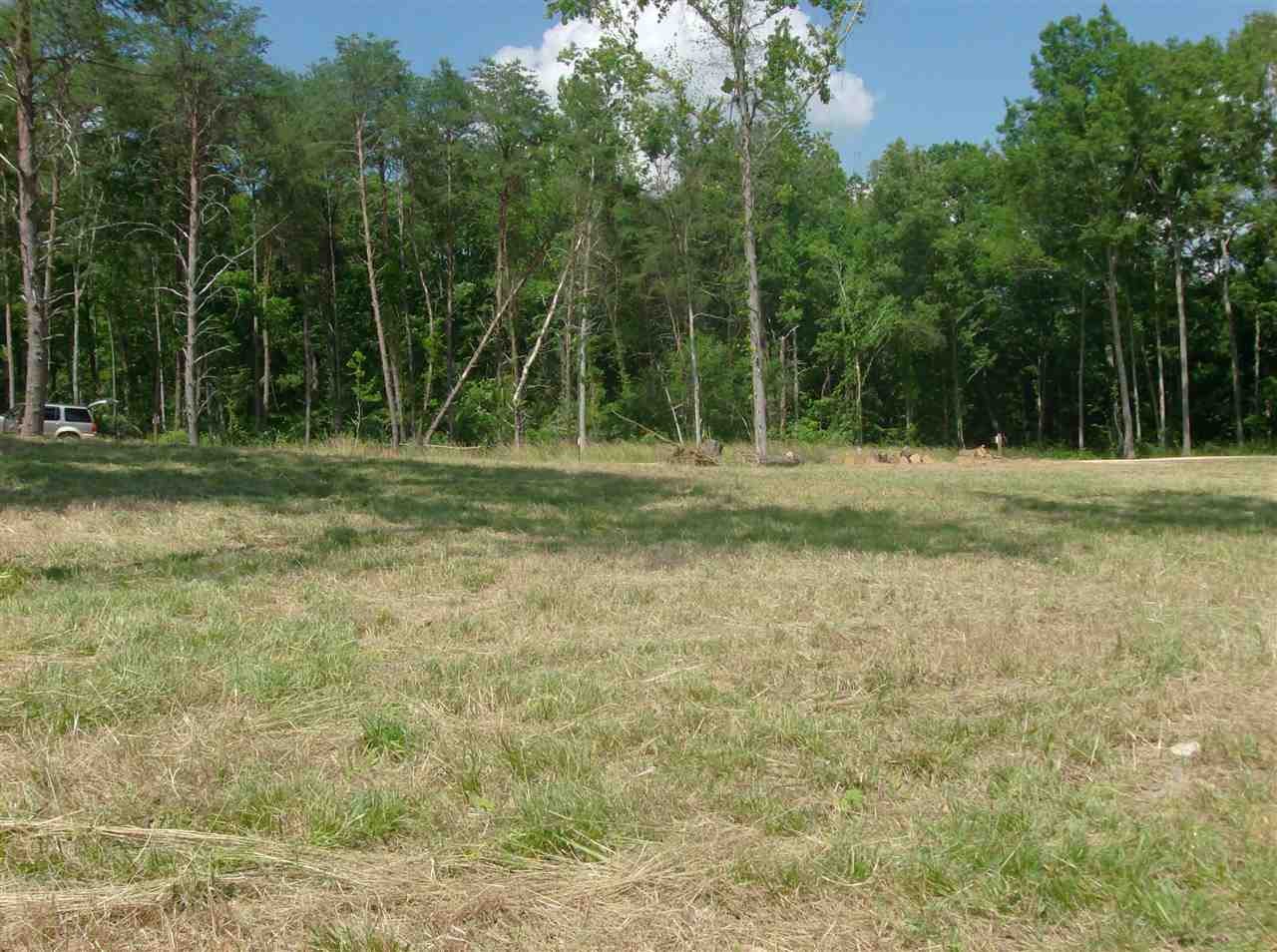 74 Mariah Loop Decaturville, TN 38329 - Photo 5 of 12 Gallery Image 5