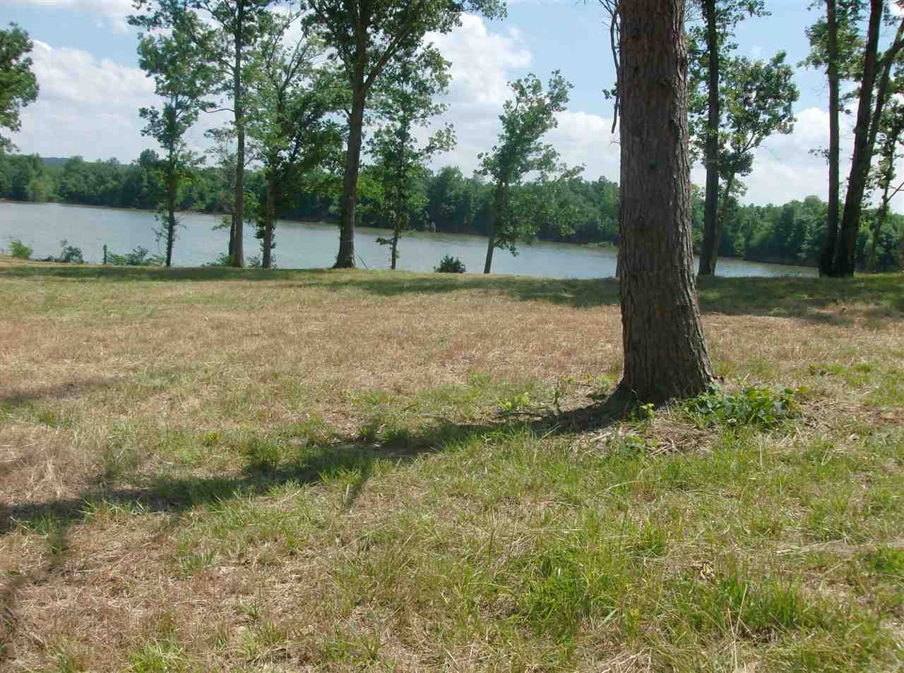74 Mariah Loop Decaturville, TN 38329 - Photo 7 of 12 Gallery Image 7