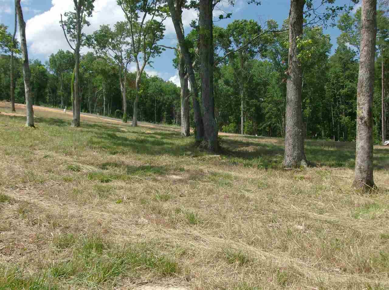 74 Mariah Loop Decaturville, TN 38329 - Photo 8 of 12 Gallery Image 8