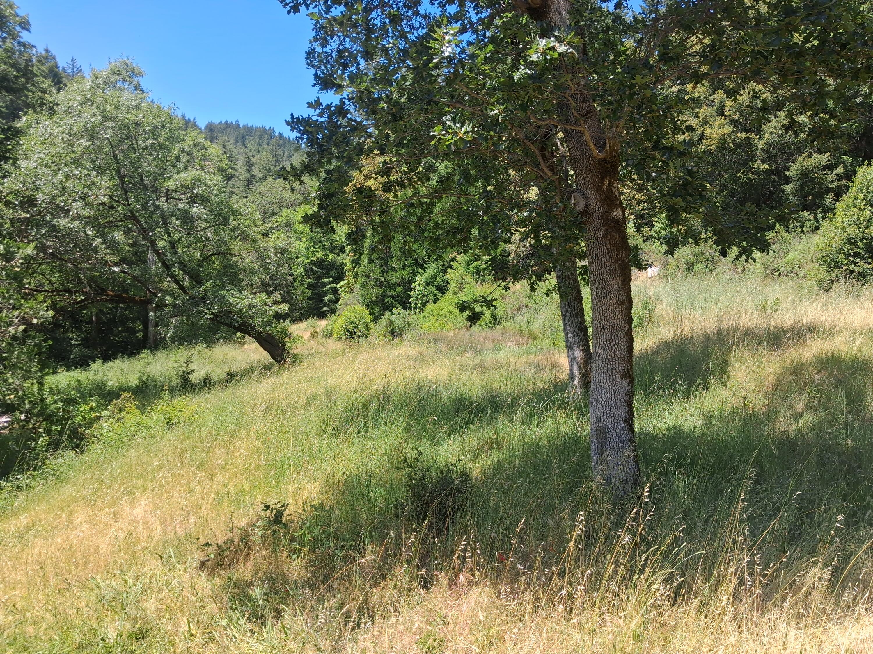 3600 Lower Thomas Road Miranda, CA 95553 - Photo 34 of 39