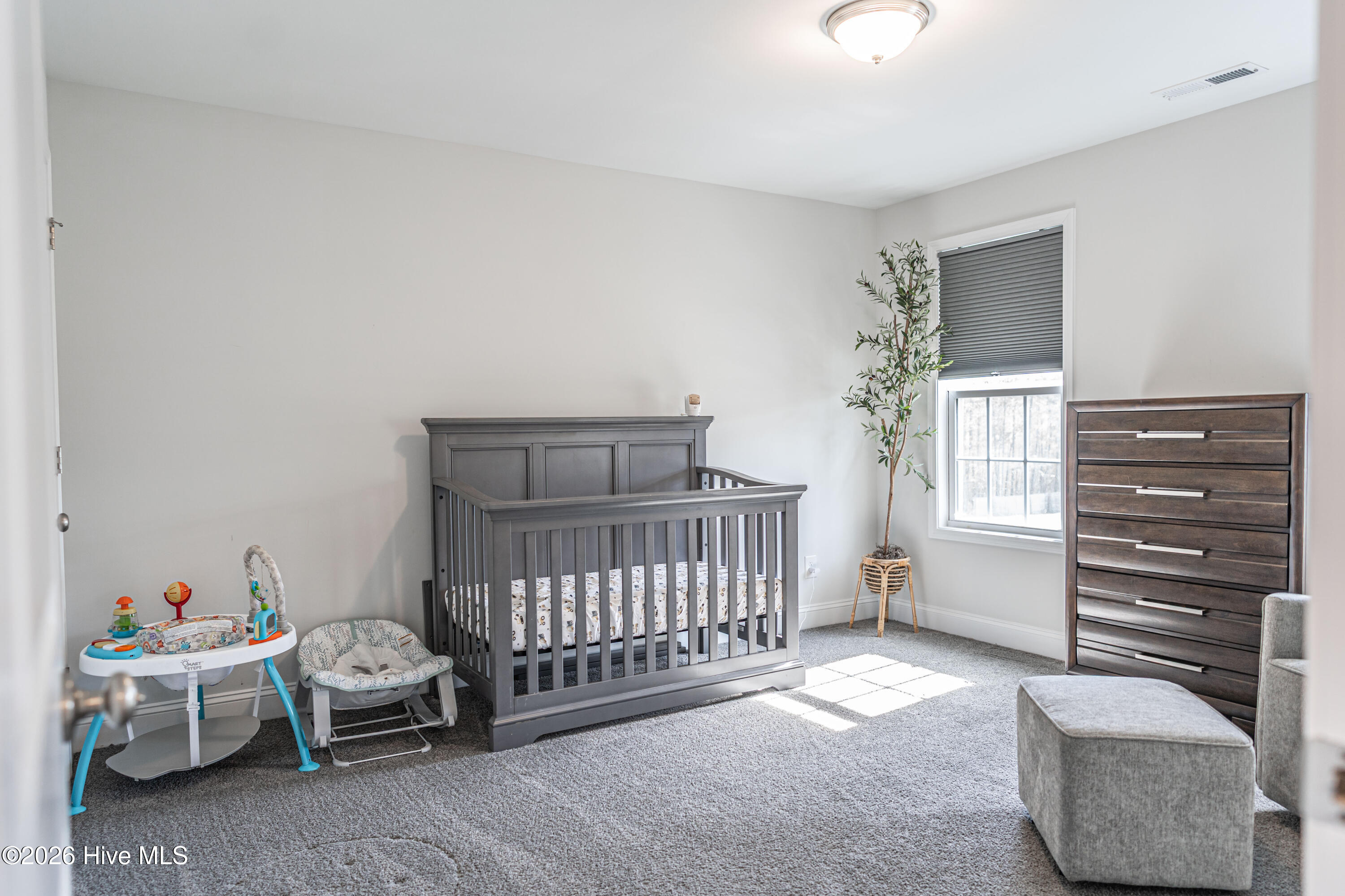 Undisclosed Address Cameron, NC 28326 - Photo 23 of 35 DSC02103