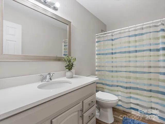 a bathroom with a sink a toilet and shower curtain