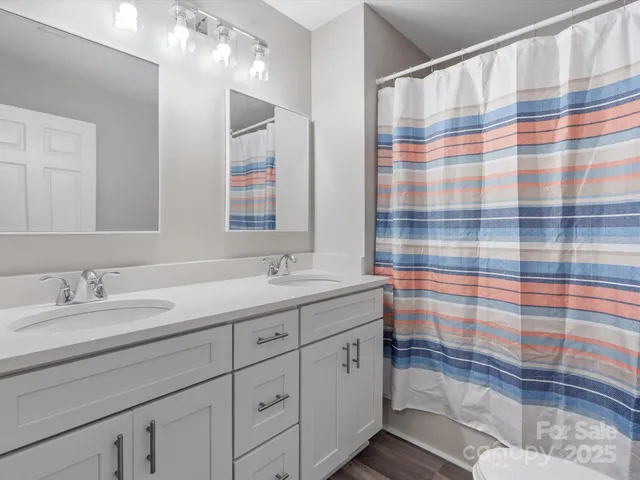 a bathroom with a sink a mirror a vanity and shower