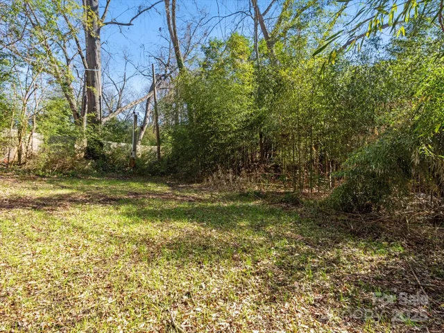 a view of a yard with large trees