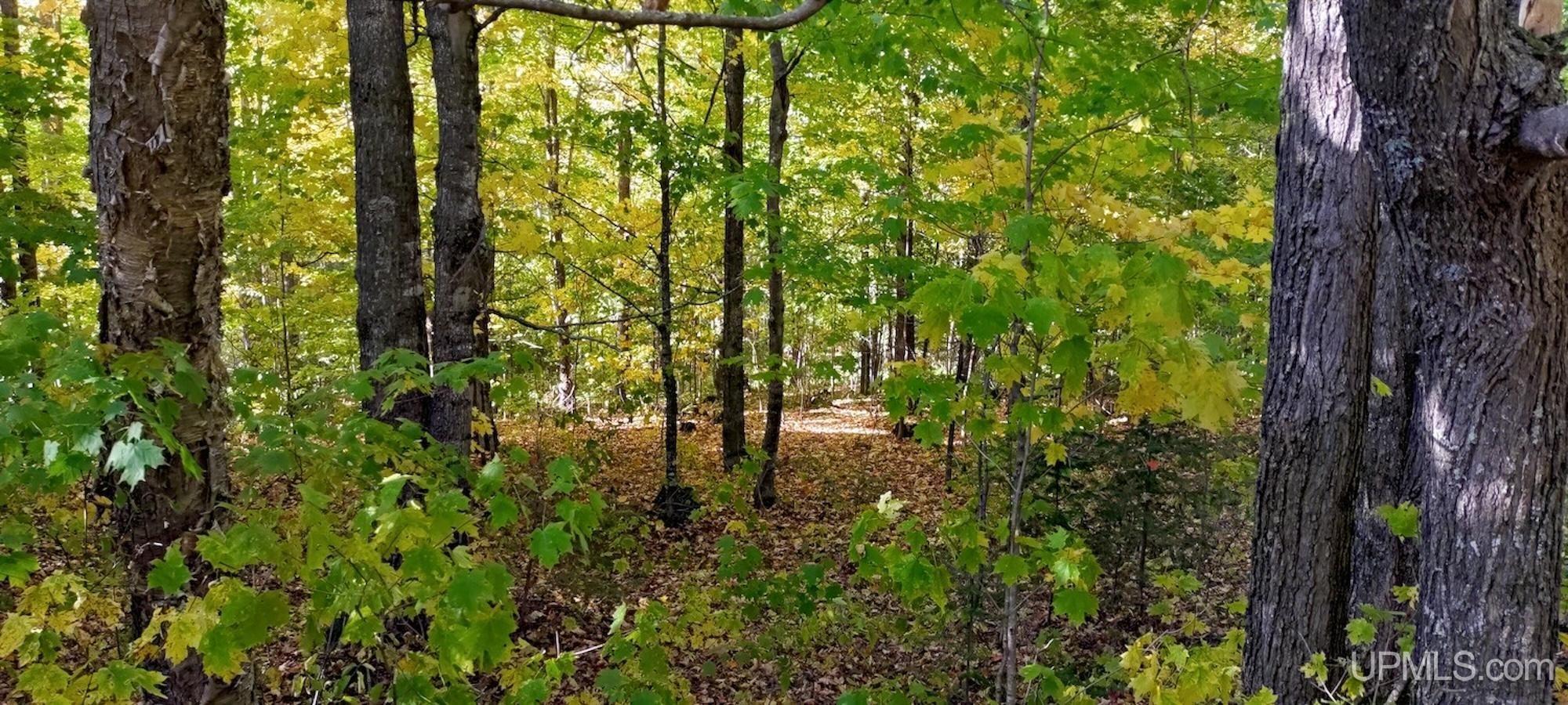 4745 Boot Lake Road Phelps, WI 54554 - Photo 68 of 78 Gallery Image 68