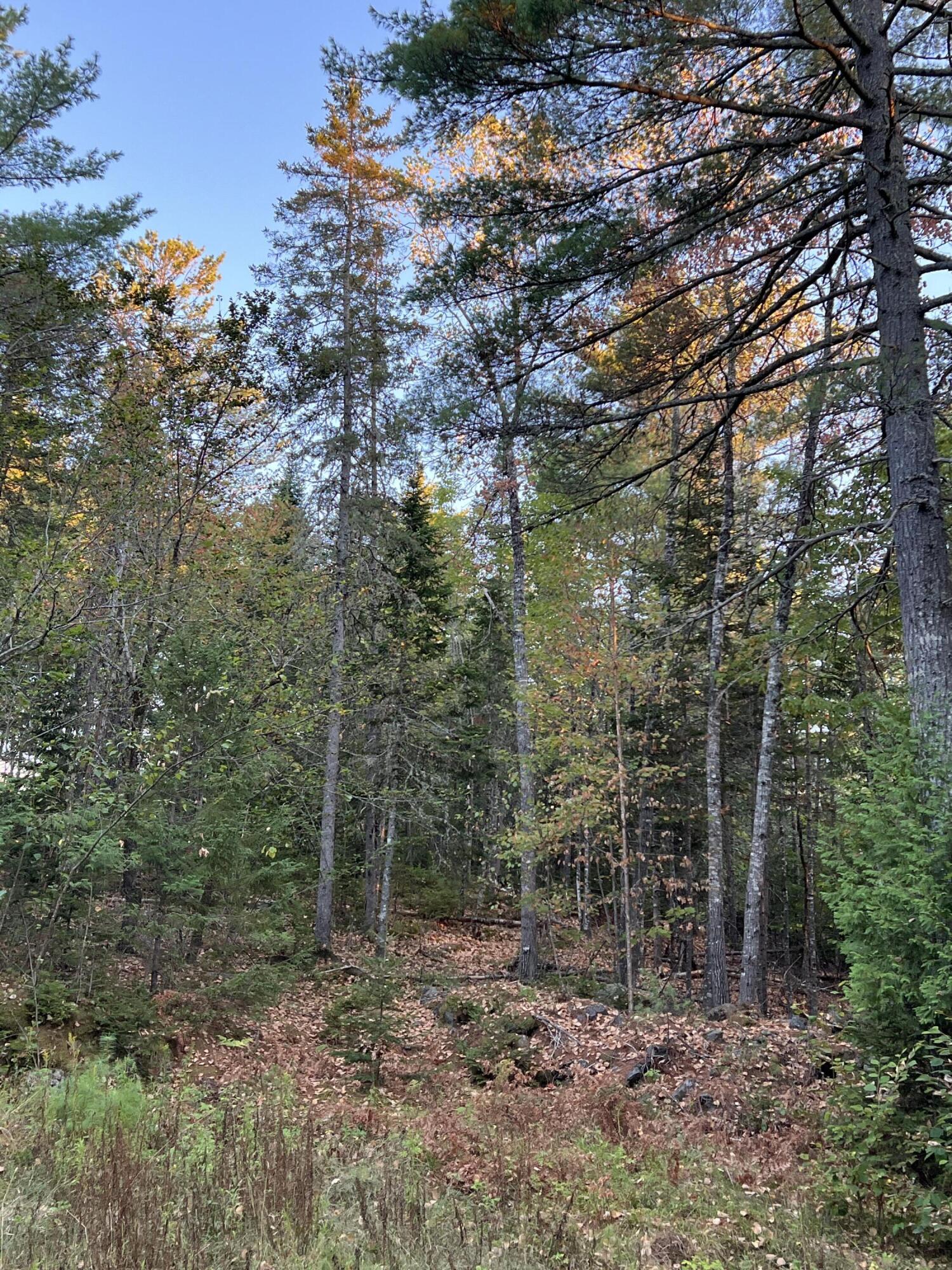 87 Thistle Road Milford, ME 04461 - Photo 3 of 10 IMG_2113