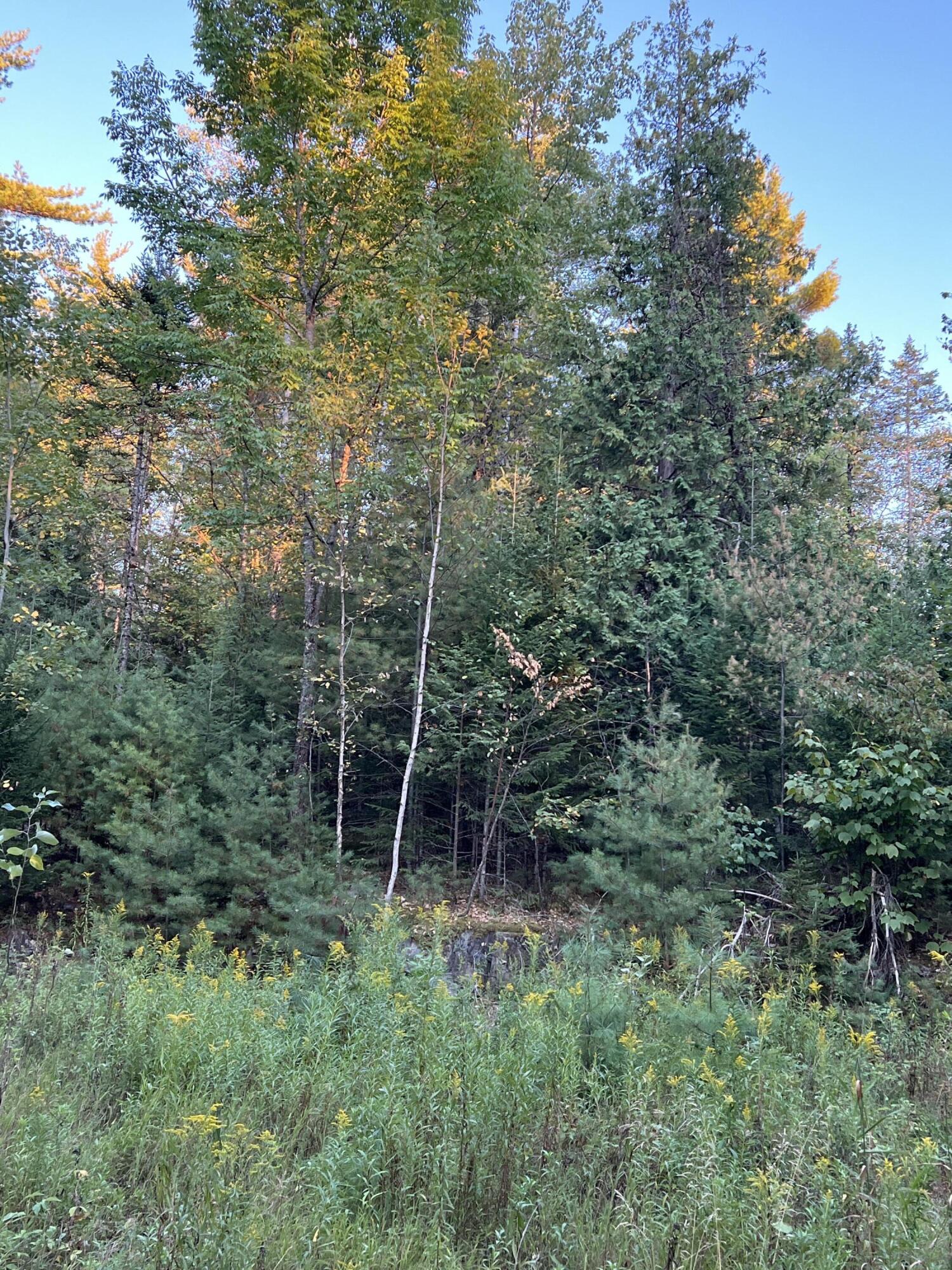 87 Thistle Road Milford, ME 04461 - Photo 5 of 10 IMG_2115