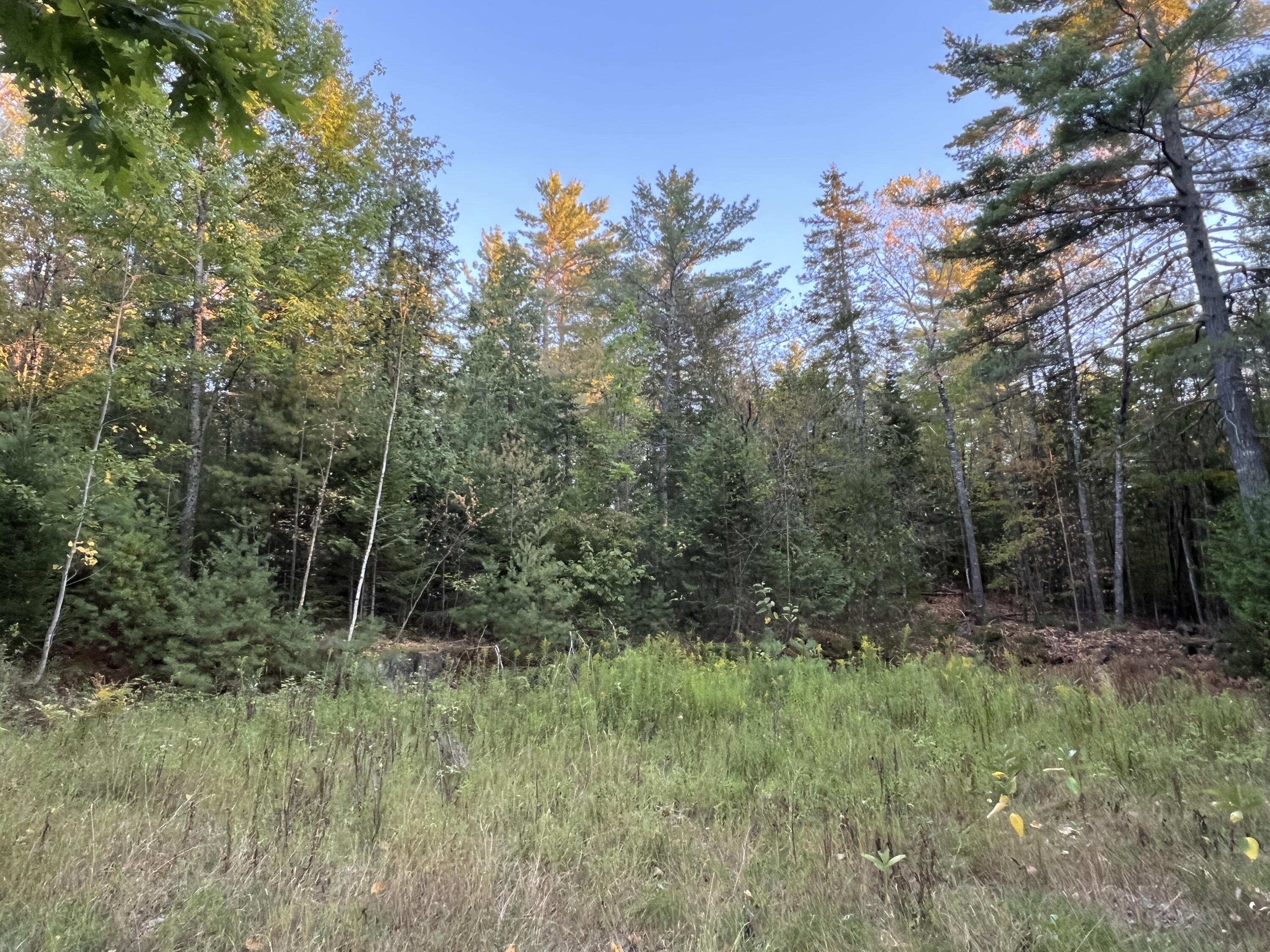 87 Thistle Road Milford, ME 04461 - Photo 6 of 10 IMG_2111