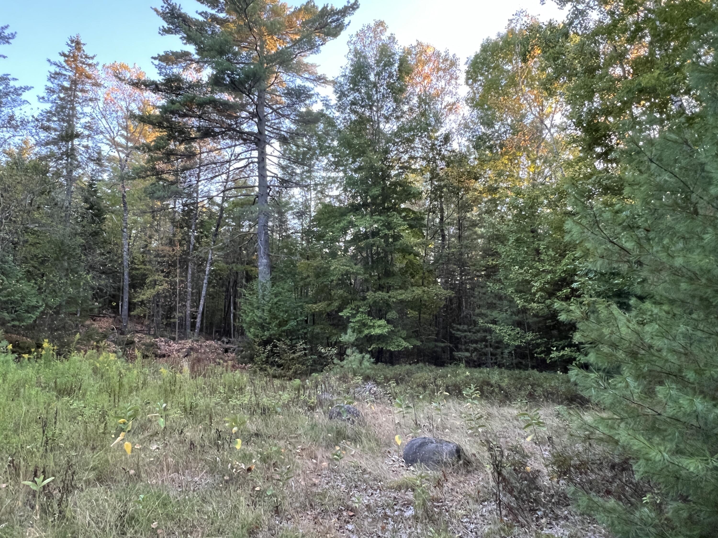 87 Thistle Road Milford, ME 04461 - Photo 9 of 10 IMG_2110