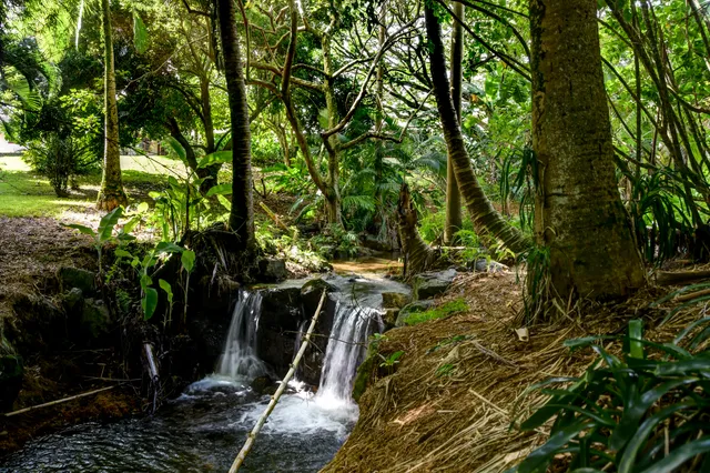 a view of a backyard of the house